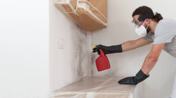 Professional Attic Mold Removal technician working in Free Soil, MI