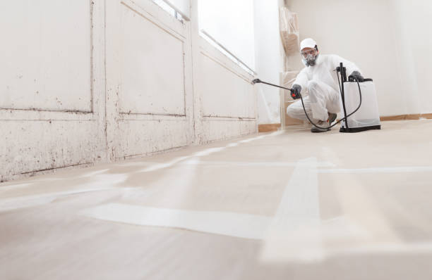 24/7 Emergency Attic Mold Removal experts in Free Soil, MI